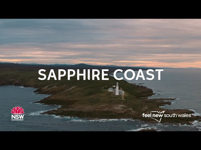 See whales travel the humpback highway on the Sapphire Coast