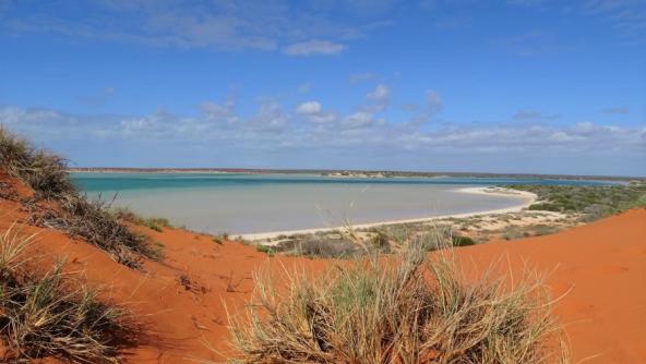 Francois Peron Nationalpark Coral Coast Westaustralien entdecken