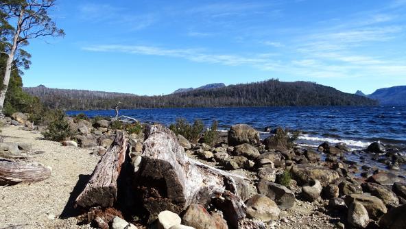 Lake St. Clair See Tasmanien Australien entdecken