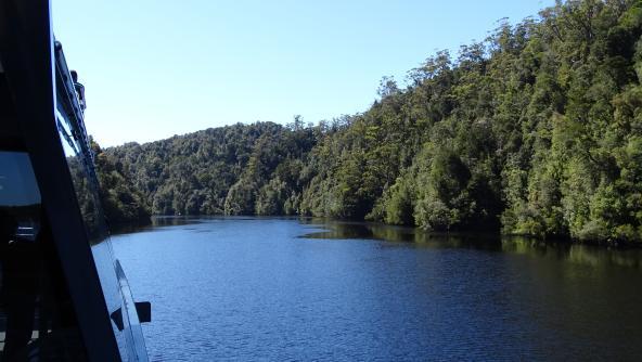 Wildnis Gordon River Tasmanien Westküste