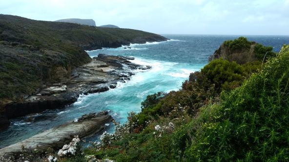 Tasman Halbinsel Tasmanien raue Küste