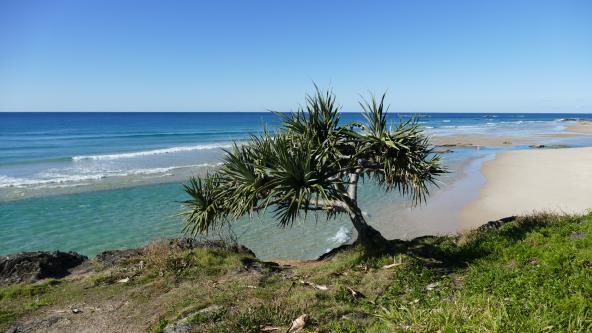 Reiseblog Australien Queensland North Stradbroke Island Strand bei Brisbane