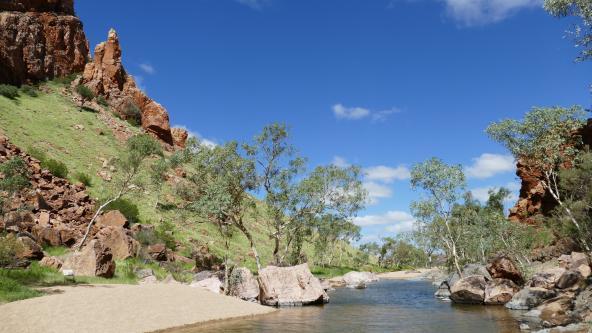 Australien Outback Billabong Northern Territory Simpsons Gap Oase