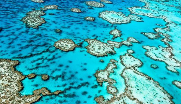 Great Barrier Reef Australien Queenslan