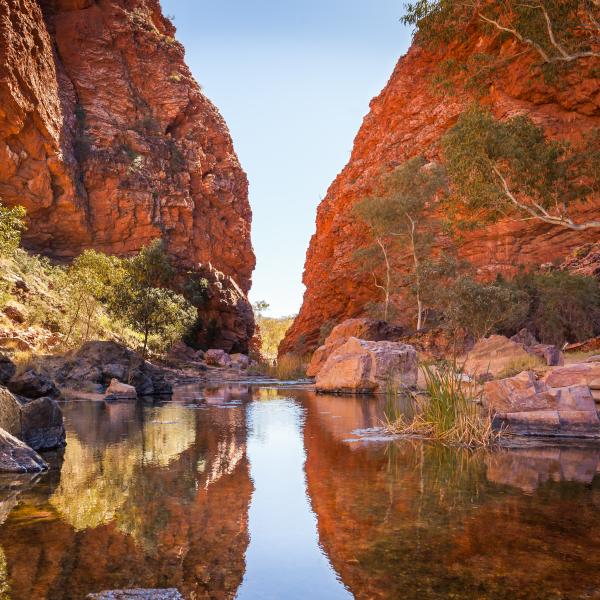 Northern Territory Oase Rotes Zentrum Australien