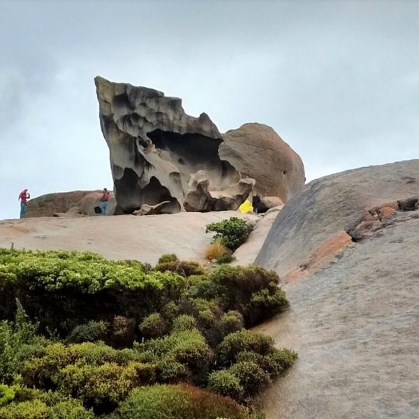 Kangaroo Island Australiens Tierwelt entdecken Remarkable Rocks Flinders Chase Nationalpark Südaustralien