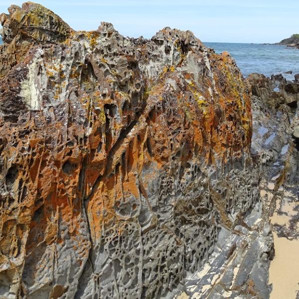 Pebbly Beach Gippsland Malacoota Croajingolong Victoria Australien